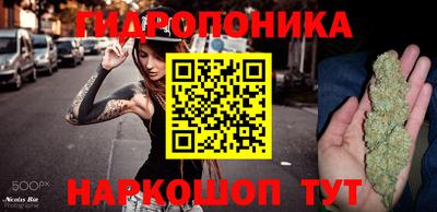 гидропоника Нальчик