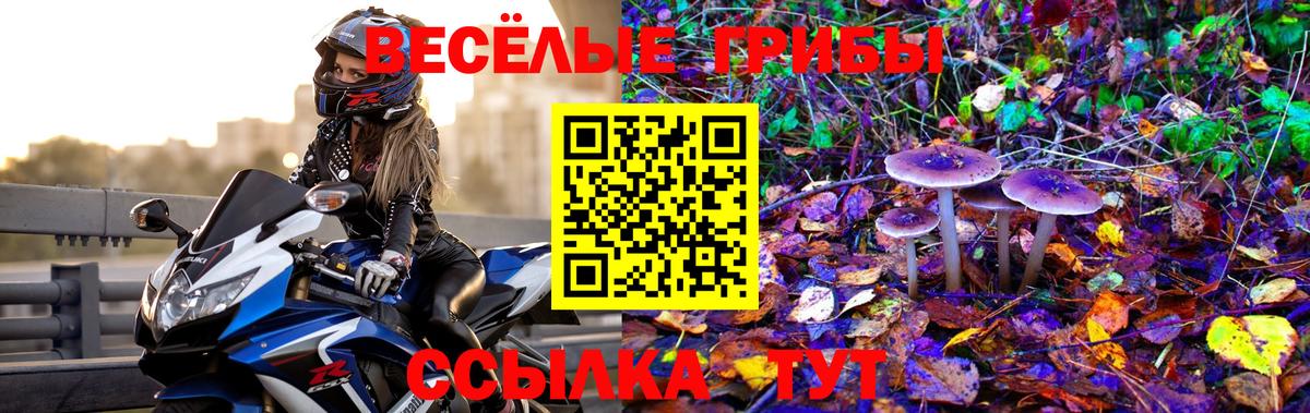 цены   Вход с VPN  Юрга  Галлюциногенные грибы Magic Shrooms  Галлюциногенные грибы ЛСД 